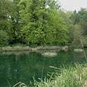Environment Activities