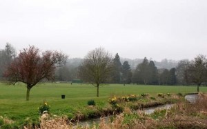 The Rye